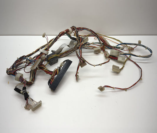 Cruisin World Wiring Harness