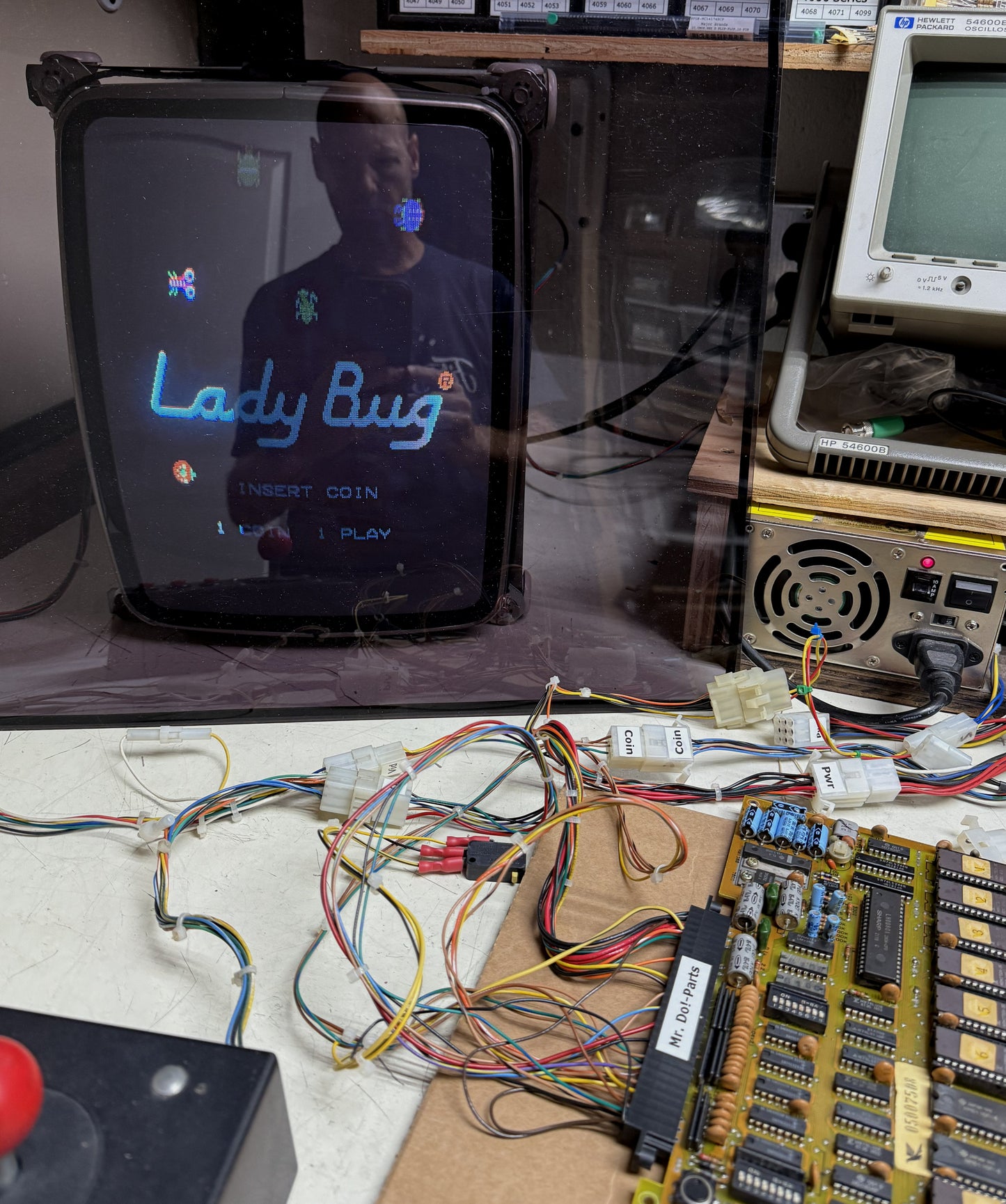 Ladybug Circuit Board, Working