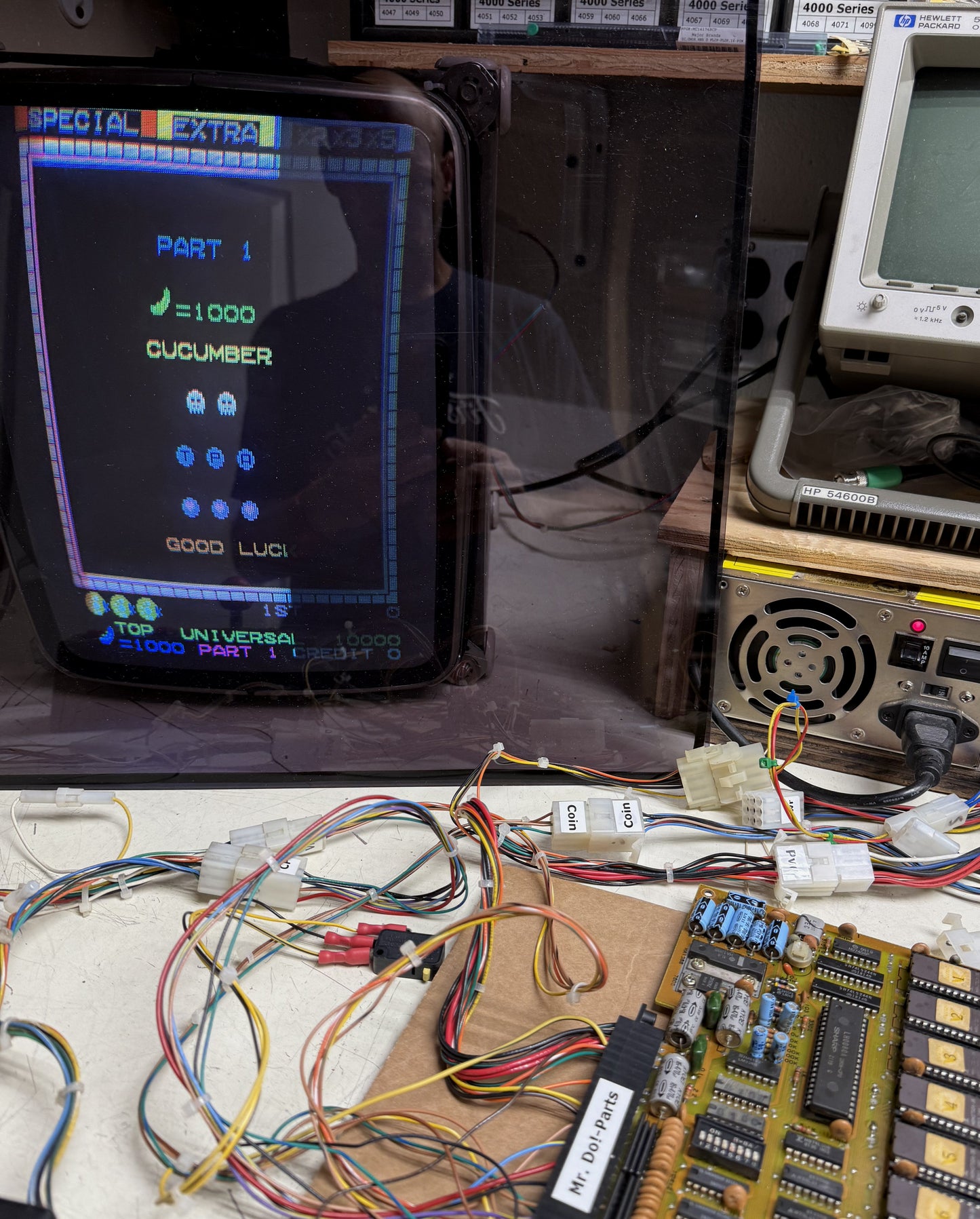 Ladybug Circuit Board, Working