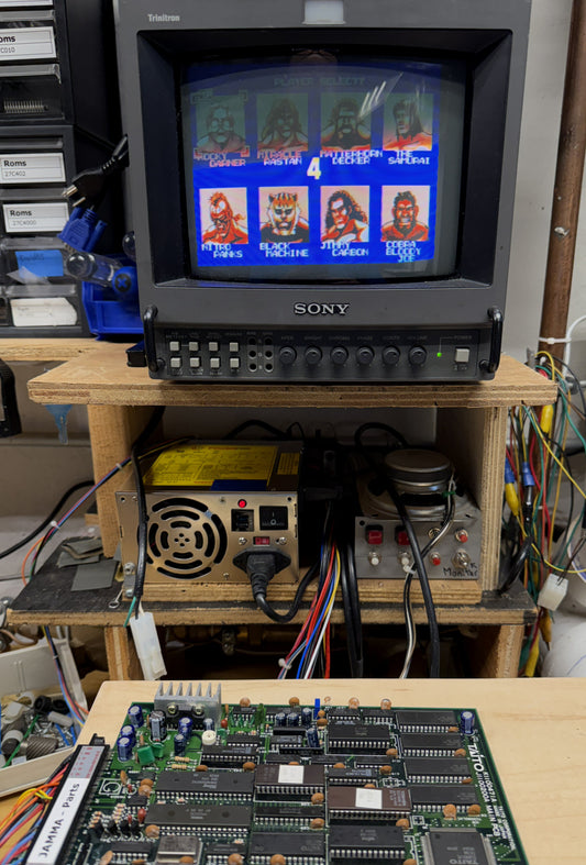 Champion Wrestler Board, No Sound for Repair