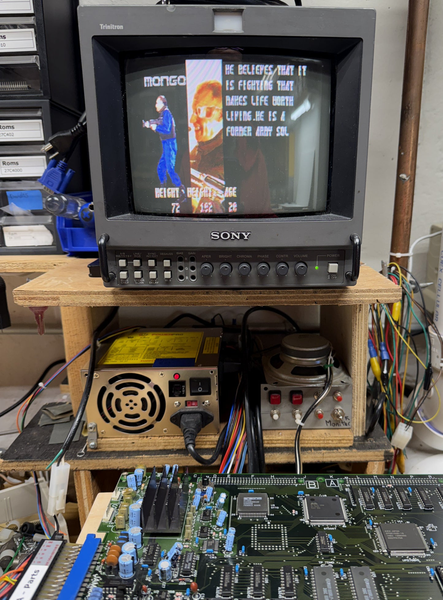 Survival Arts Jamma Circuit Board, Works