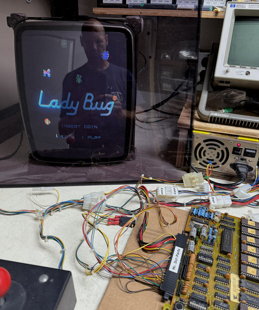 Ladybug Circuit Board, Working