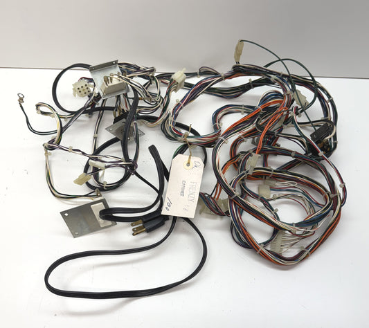 Frenzy / Berzerk Wiring Harness