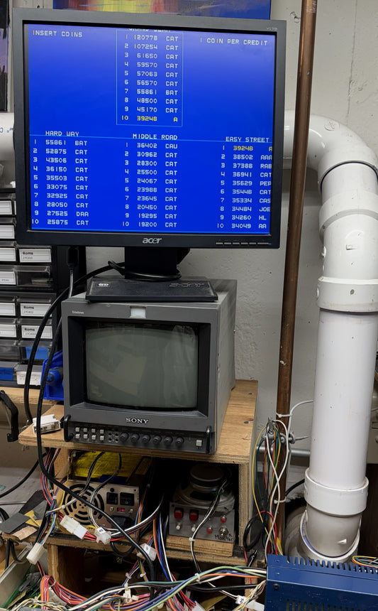 Paperboy CPU & Video Board for Repair, CPU Board Works?